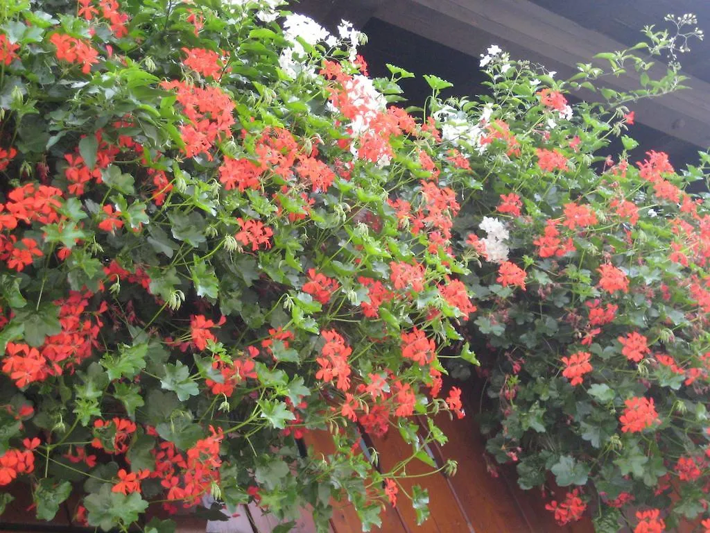 *** Guest house Gaestehaus Rappenkopf Oberstdorf Germany